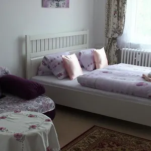 https://apartment-meixner.marianskelaznehotels.net